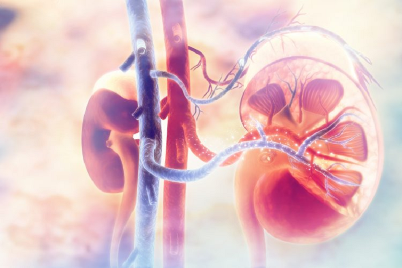 Hội chứng kháng Phospholipid nguy hiểm như thế nào? | Medlatec